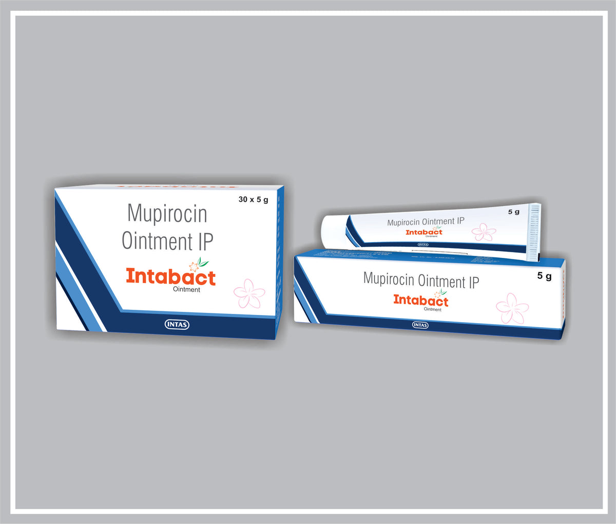 Intabact Ointment 5 Gm (Mupirocin 2% W/W Oint) By Intas